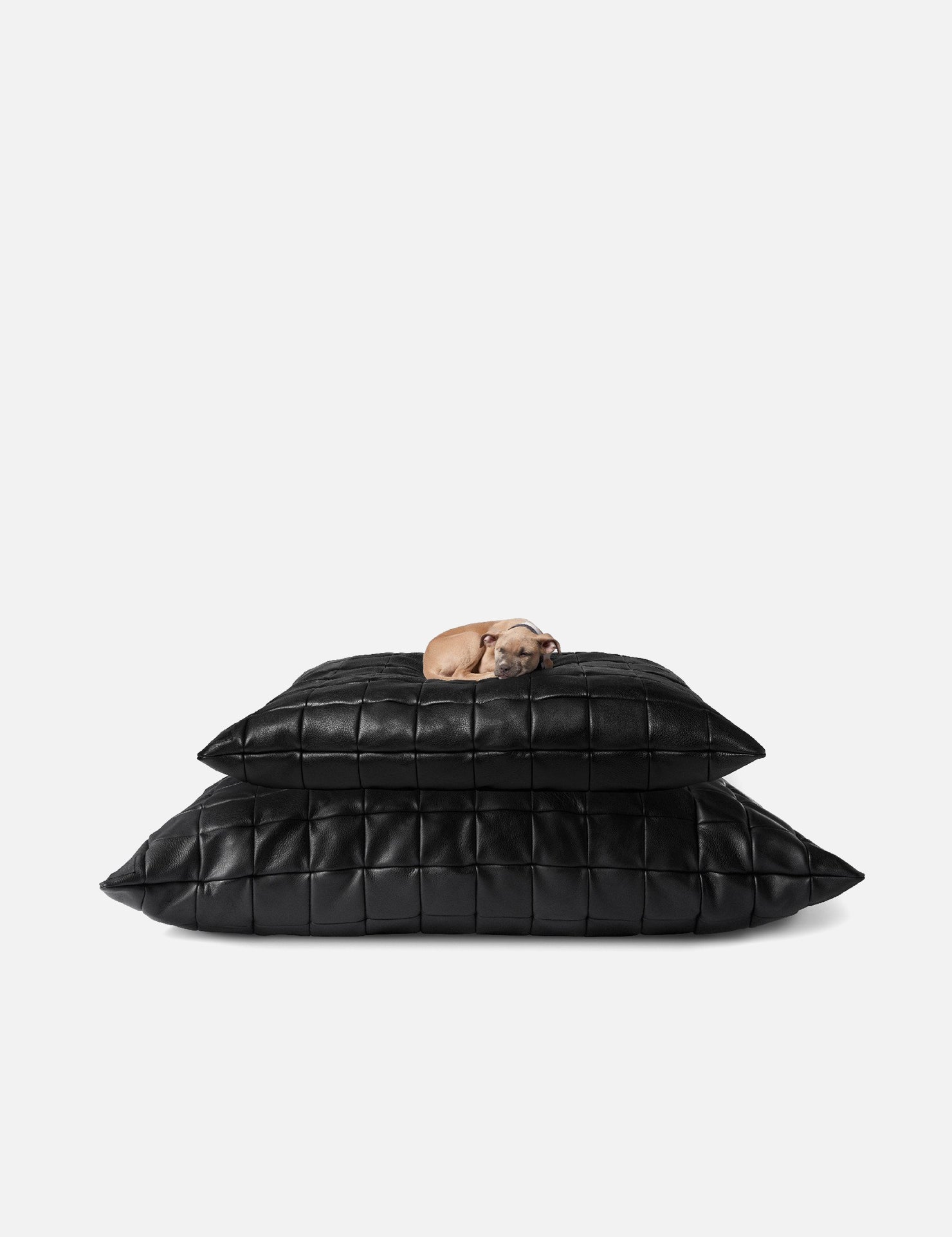 FLOOR PILLOW SMALL | KILLSPENCER® - Black Leather